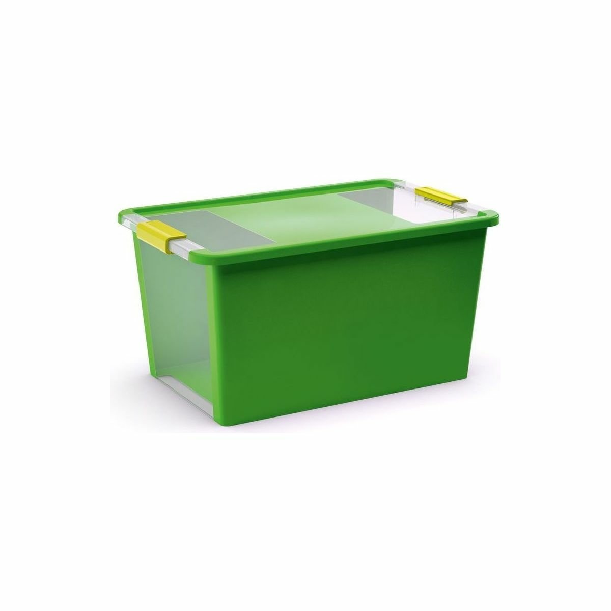 Bi box L 40 litrov farba zelená / transparentná